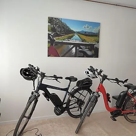 Steepleview House Bed & Breakfast 3*